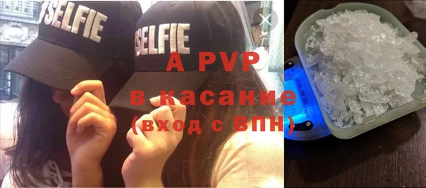 spice Беломорск