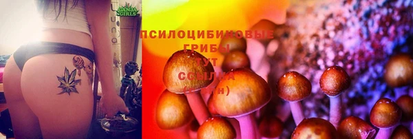 spice Беломорск