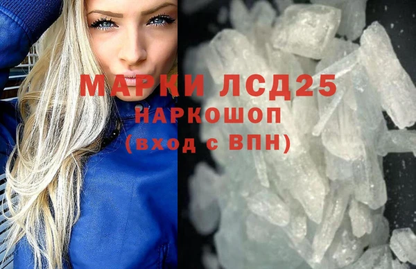 индика Балахна