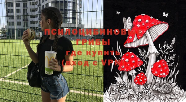 spice Беломорск
