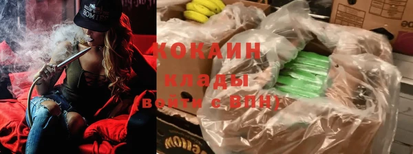 индика Балахна